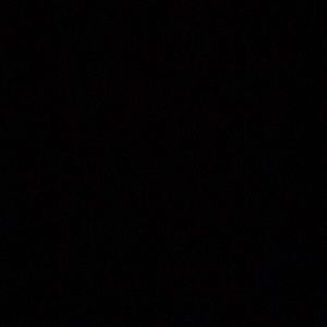 Meet your Posher, Sebastian